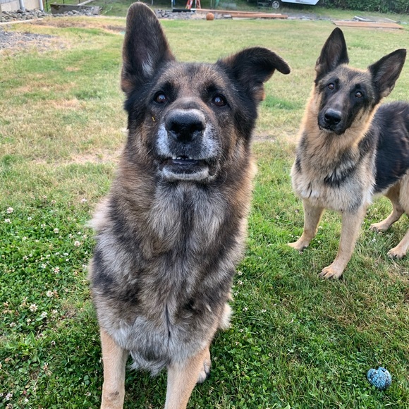 Meet your Posher, Erica - Picture 13 of 16